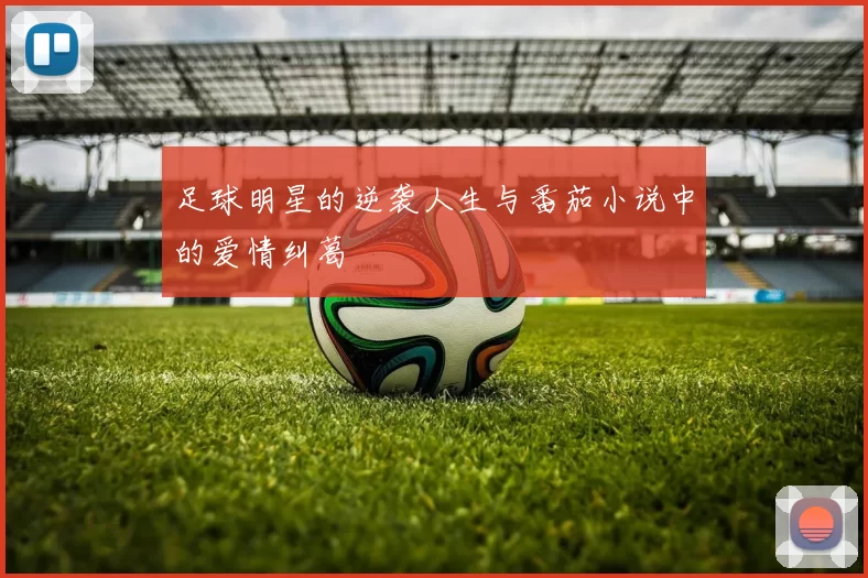 足球明星的逆袭人生与番茄小说中的爱情纠葛