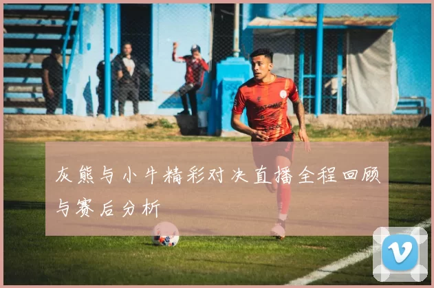 灰熊与小牛精彩对决直播全程回顾与赛后分析