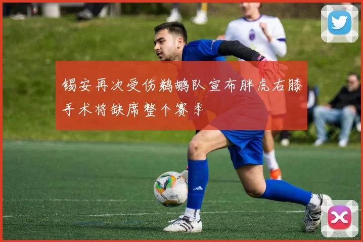 锡安再次受伤鹈鹕队宣布胖虎右膝手术将缺席整个赛季