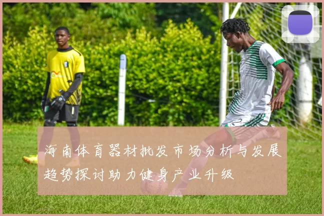 海南体育器材批发市场分析与发展趋势探讨助力健身产业升级